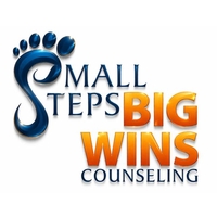 Small Steps Big Wins Counseling