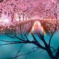 Creating Change, LLC