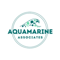 Aquamarine Associates LLC