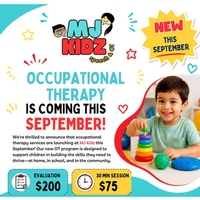 MJ KIDZ Occupational Therapy